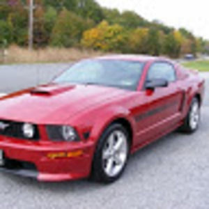 Meet your Posher, Ben